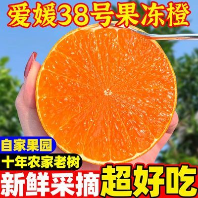 正宗眉山爱媛38号果冻橙子四川应当季孕妇无核手剥橙子批发包邮【10月20日发完】