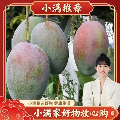 【顺丰包邮】四川攀枝花凯特芒果新鲜带箱5斤当季应季水果整包邮
