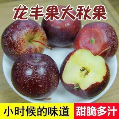 东北特产海棠果大秋果龙丰果新鲜酸甜包邮孕妇水果东北沙果糖心