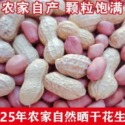 2025年新鲜生花生带壳晒干带皮粉皮生花生米原味熟花生250克3斤