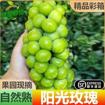 ڲ̳ƷʡɽõΆ4.5е12g+ 22.9Ԫ