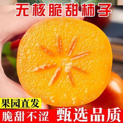 现摘脆柿子新鲜巧克力硬柿子水果3/5斤整箱批发时令甜柿子软柿【30天内发货】