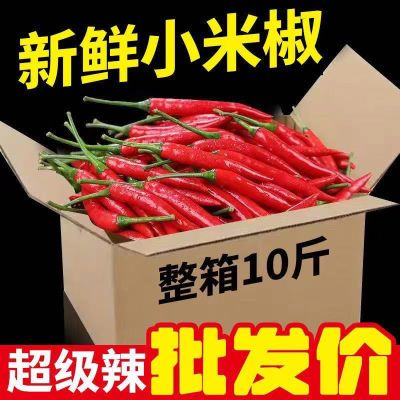 新鲜特辣农家小米云南辣椒超辣红辣椒朝天椒批发发完特辣香辣饭店
