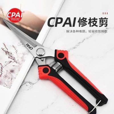 ڲCPAIƷּ֦԰ռ֦֦ռ7.7Ԫ