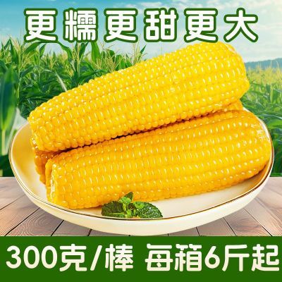 ���ڲ������뿵��հ�װ��Ŵ����Ŵ���300��/������𤽡����ʹ�������10�� 27.5Ԫ