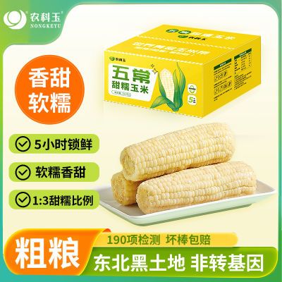 农科玉甜糯玉米东北粘糯真空包装糯玉米香甜软糯早餐轻食粗粮苞米