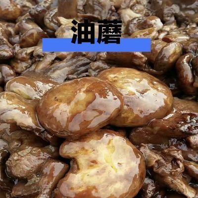 东北油蘑腌制发货
