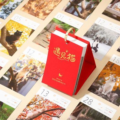 ���ڲ�������2026��������̨��������è��ů����ָ�� è���� 19.9Ԫ