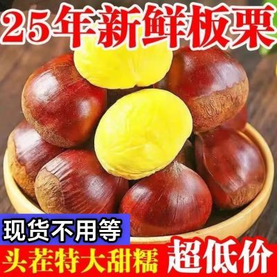 【2025栗子】新鲜野生丹东板栗生栗子农家正宗大毛板栗特级板栗