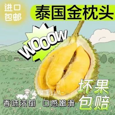 【鲜果速达】泰国正宗金枕榴莲整个当季应季新鲜水果整箱带壳包邮