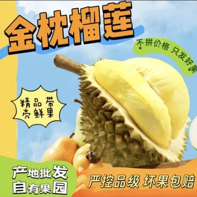 【现货鲜果】泰国进口金枕榴莲鲜果榴莲带壳当季热带水果批发包邮