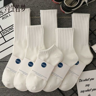 ���ڲ������½���7A�����ļ���ʿ��Ͳ���������͸���������˶���Ͳ���� 6.9Ԫ