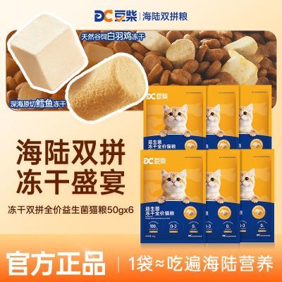 ڲƷСèԳװӪë 10.1Ԫ