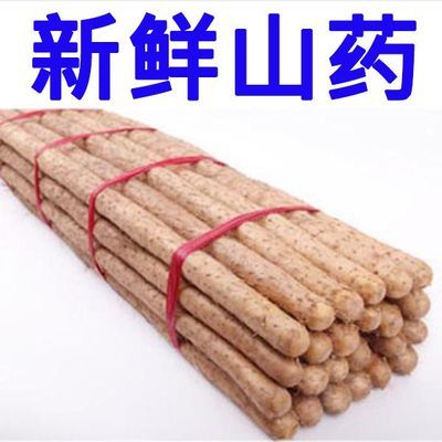 正宗新鲜铁棍山药淮山药垆土铁棍山药小白嘴山药河北产地蔬菜直发