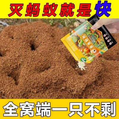 灭蚂蚁药强效家用无毒全窝端卧室厨房杀蚂蚁神器一窝端饲料预混料