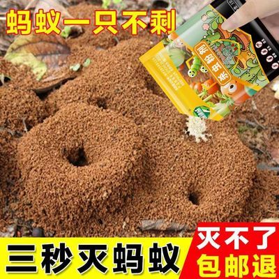 强效蚂蚁药家用无毒一窝端卧室厨房杀蚂蚁神器全窝端饲料预混料
