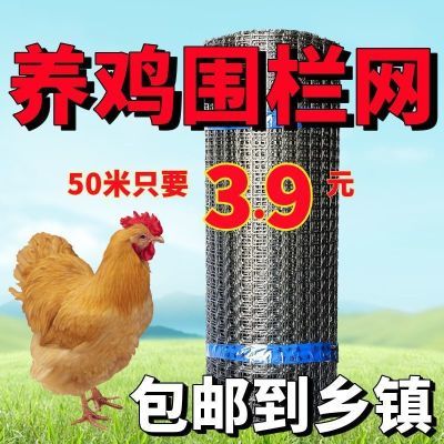 加厚养鸡围栏网养殖网菜园防鸡鸭鹅围栏塑料网果园圈地鱼塘防护