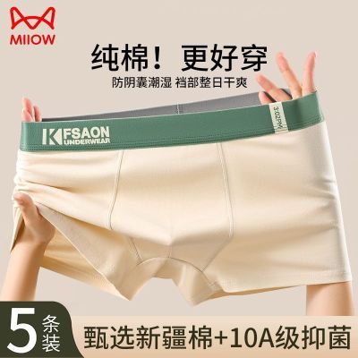 ���ڲ�����è����ʿ�ڿ㴿��10A�־�͸�������˶��������Ľ�����ƽ�Ƕ̿�ͷ 24.5Ԫ