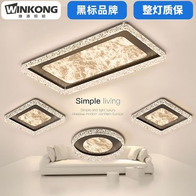 2025新款云雾款意式极简轻奢吸顶灯高级感豪华客厅灯全屋灯具组合