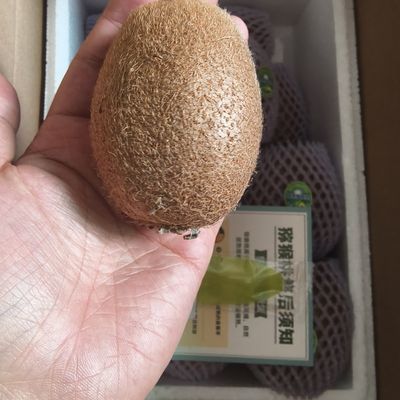 眉县丑萌水果瑞玉猕猴桃甜味十足送礼推荐新鲜当季整箱包邮优惠商品图片