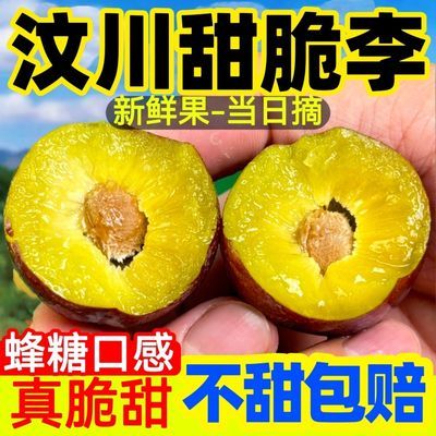 【不甜包赔】正宗汶川脆红李新鲜清脆红李子当季水果孕妇小孩水果
