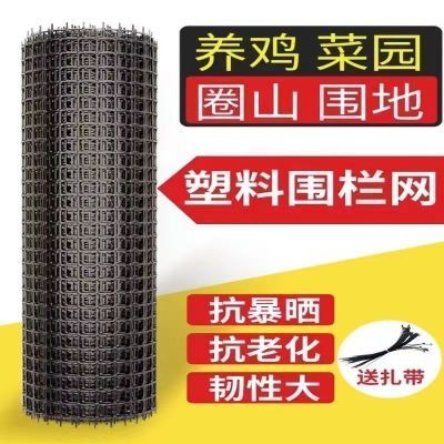 塑料网加厚特厚养鸡鸭鹅围栏网圈山圈地围果园防护围栏养殖网