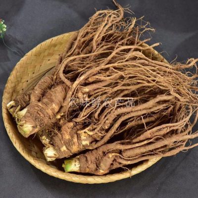 四川新鲜甜当归500g  滋补 煲汤 炖肉  味道鲜香 现挖现发 农味鲜