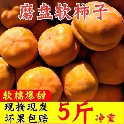 新鲜软特大柿子大盆柿磨盘柿软蜜舌头盆10软柿子磨盘大果现摘5斤