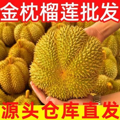 【金枕鲜果】进口金枕泰国榴莲新鲜带壳批发香甜整个鲜果水果整箱