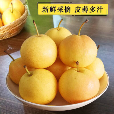 辽宁鞍山南果梨正宗新鲜水果2斤5斤东北特产南国梨批发整箱包邮