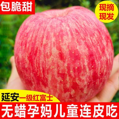 陕西洛川苹果红富士脆甜一级新鲜当季整箱包邮
