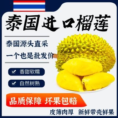 【限时特价】泰国金枕榴莲新鲜一整个金枕榴莲小巴掌整箱批发包邮