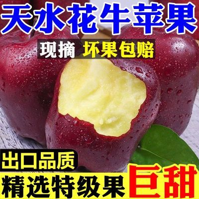 【2025新果】甘肃天水花牛苹果当季新鲜水果脆甜花牛蛇果整箱批发