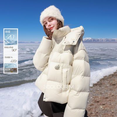 ���ڲ���������ˮ�״���������2025�����¿�90��Ѽ�����޷��̿���������M 918Ԫ