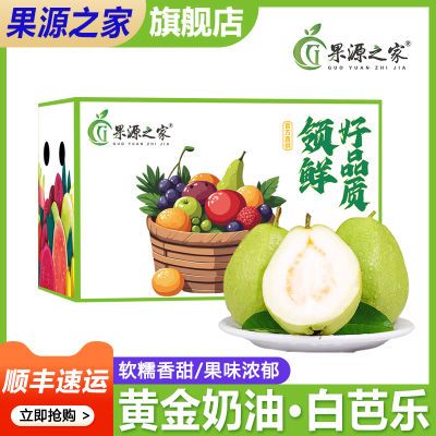 【果源之家】顺丰彩箱 福建黄金奶油芭乐软糯熟白心新鲜水果3/5斤