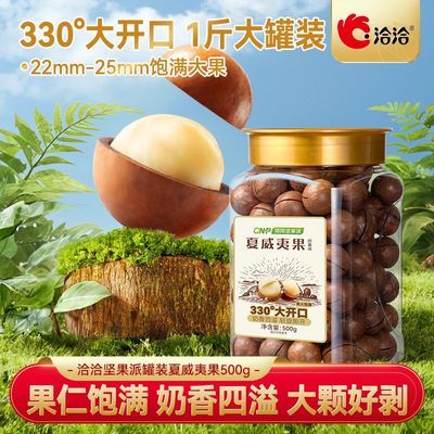 ǢǢ��װ����ζ�����Ĺ�500g*1��װ��ͥ���װ������ʳ 13Ԫ