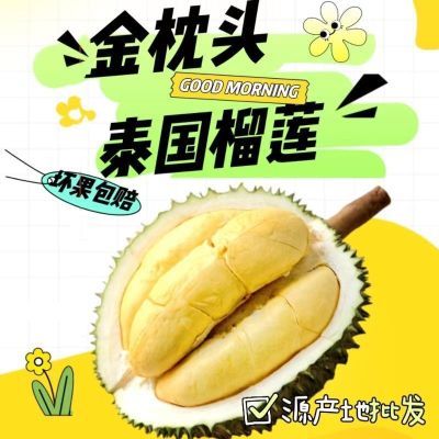 【新鲜金枕】泰国进口金枕榴莲软糯品质优选精品王者榴莲包邮包赔