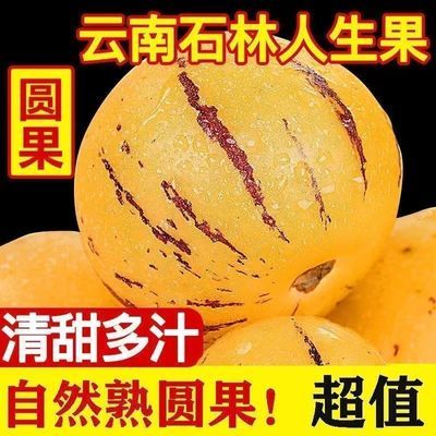 黄肉圆果石林人参果当季水果树上熟中果大果一整箱批发
