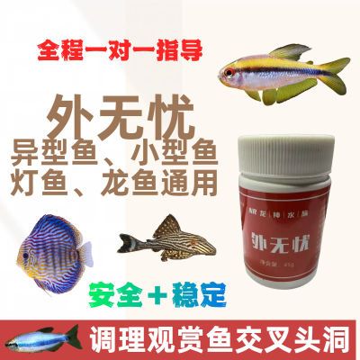 牛二观赏鱼通用细菌感染烂尾白膜溃烂交叉感染检疫抑菌异型鱼头洞