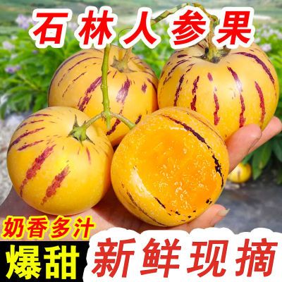云南正宗人参果黄心黄肉圆果低糖当季新鲜水果现摘无籽孕妇头茬果