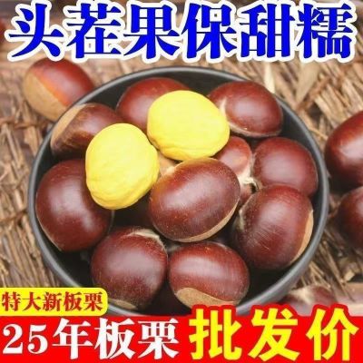 新鲜板栗2025年新货正宗老树板栗粉糯栗子大果板栗一件批发