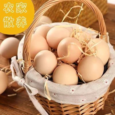 50枚农家散养土鸡蛋新鲜现捡破碎包赔批发谷物柴鸡蛋草鸡蛋优惠商品图片