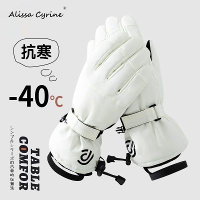 ���ڲ������������������ж�����ƿ���������������׻�ѩ�ﳵ����Ħ�г����� 23.99Ԫ