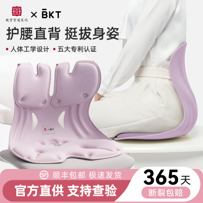 BKT护腰坐垫腰靠椅人体工学引导坐姿支撑上班学生办公礼物