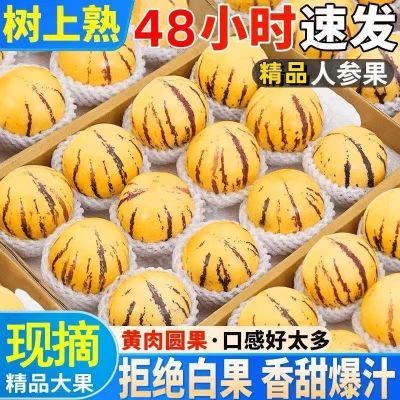 【正宗】人参果树上熟黄皮黄肉圆果应季新鲜低糖孕妇多汁水果整优惠商品图片