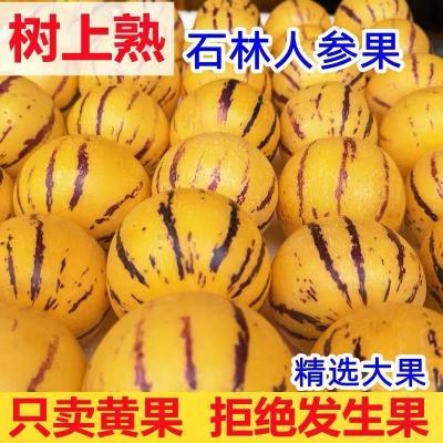 【特级】云南石林人参果黄肉圆果新鲜现摘孕妇水果黄心整箱批发