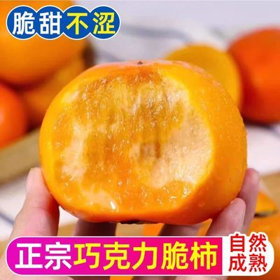 【新鲜现摘】正宗巧克力脆甜柿子无核冰糖心应季水果一整箱批发价
