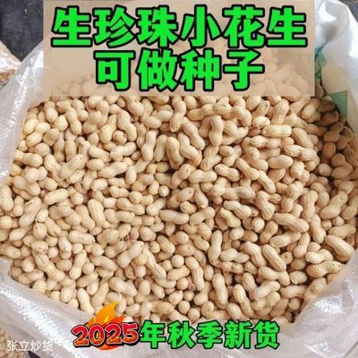 25年锦州当季珍珠小花生带壳新鲜薄皮批发