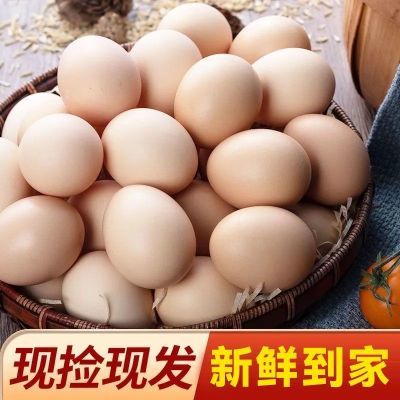 【乌金山】散养红壳土鸡蛋农家柴鸡蛋新鲜现捡草虫蛋儿童孕妇