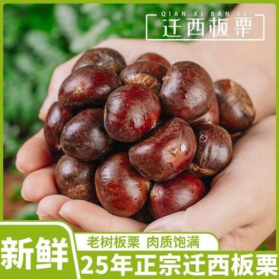 ���ڲ������ϵº����ʰ����ӱ���ɽǨ������4.8��2������������2025�� 13.8Ԫ